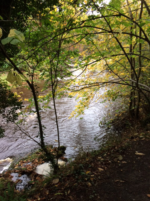 River Esk by Joy Moore